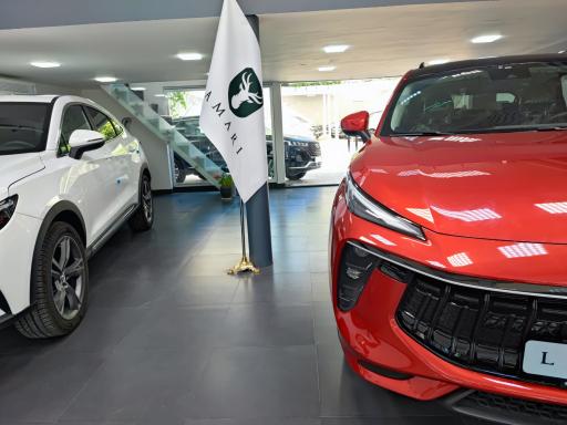 عکس تلاش خودرو ایرانیان