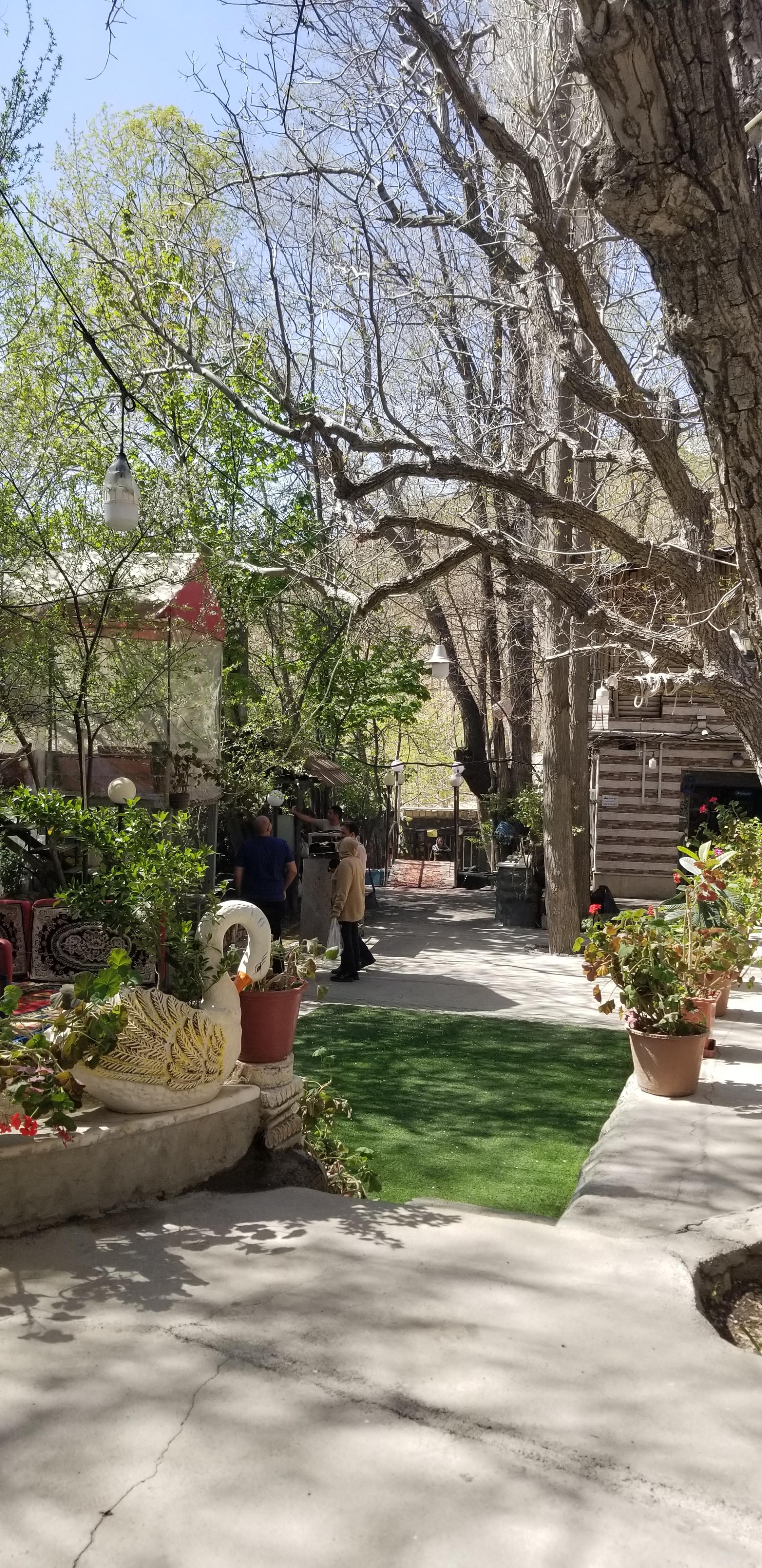 عکس باغ رستوران آنا