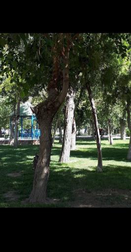 عکس بوستان 22 بهمن