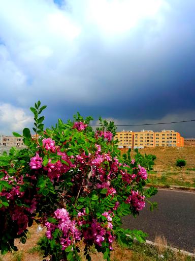 عکس مجتمع مسکونی پیش ساخته صدرا