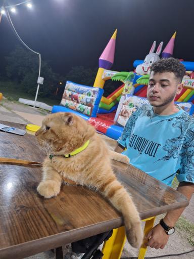 عکس شهربازی پویان