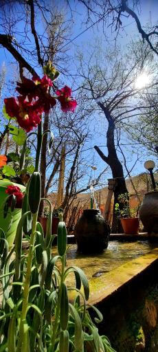 عکس باغ رستوران آنا