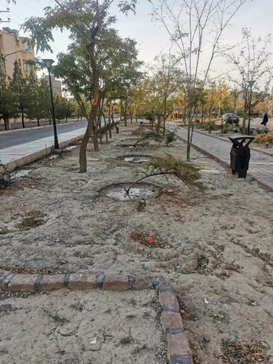 عکس پارک جنگلی خطی محله ای 