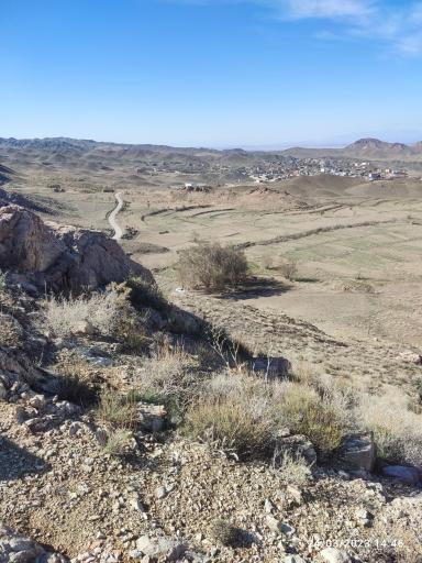 عکس عنبرستان