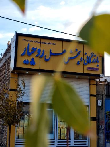 عکس عسل روچیار