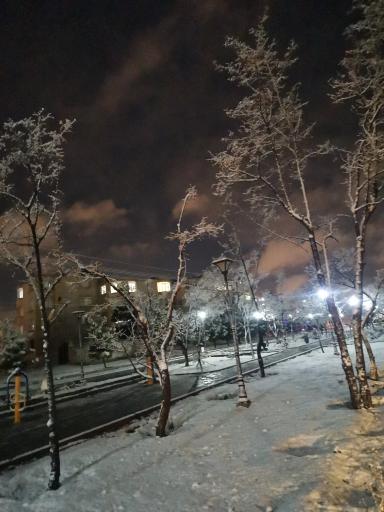 عکس پارک جنگلی خطی محله ای 