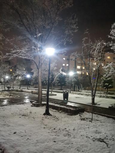 عکس پارک جنگلی خطی محله ای 