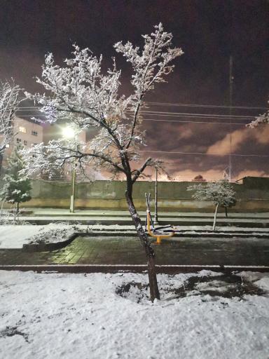 عکس پارک جنگلی خطی محله ای 