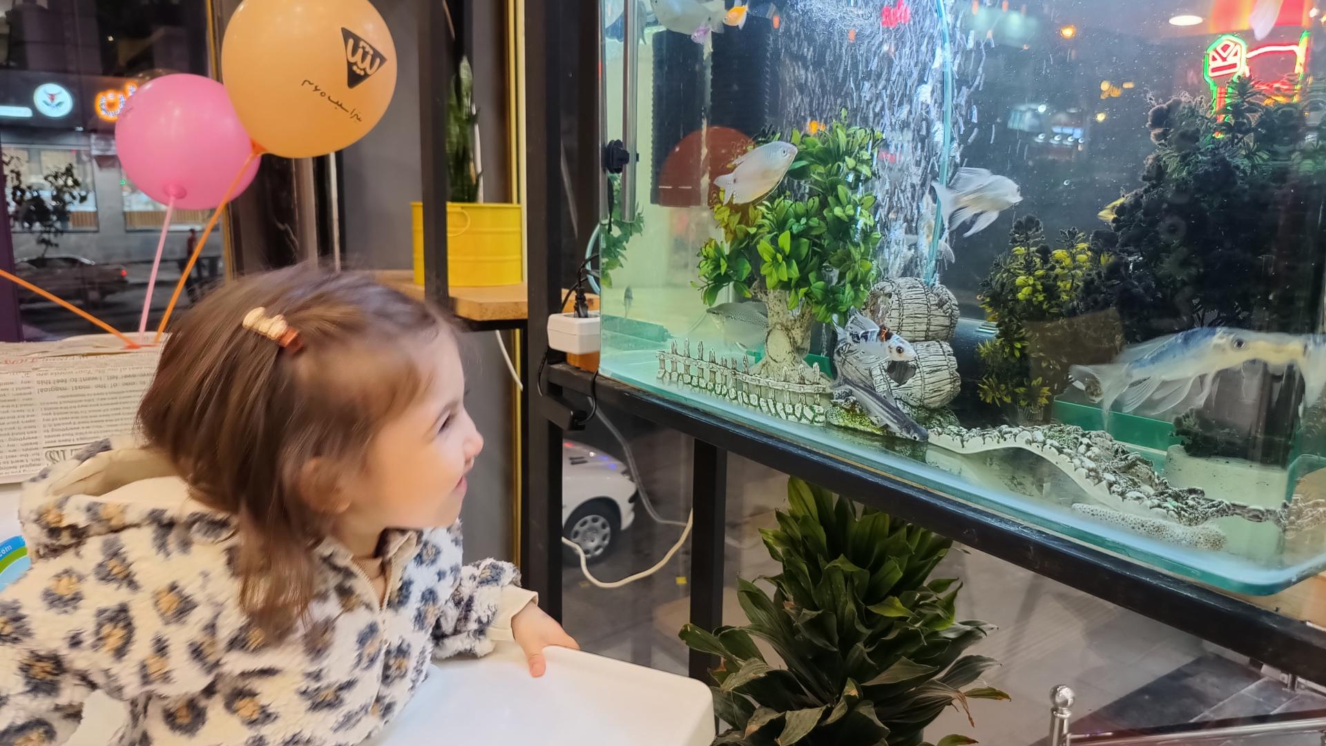 عکس پیتزا سیب 360، شعبه شهران شعبه شهران جنوبی