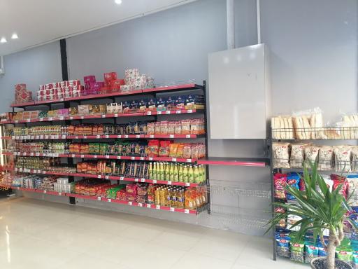 عکس آقای پروتئین 