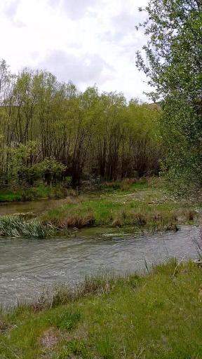 عکس سلوک