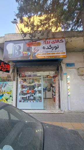 عکس الکتریکی نورکده