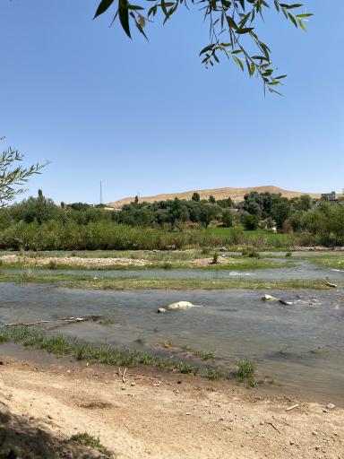 عکس سلوک