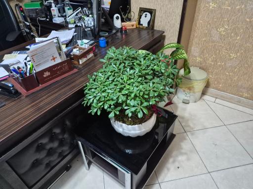 عکس مطب متخصص مغز و اعصاب و ستون فقرات