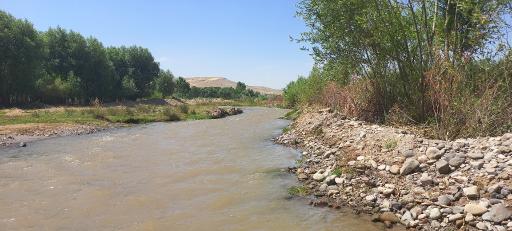 عکس سلوک