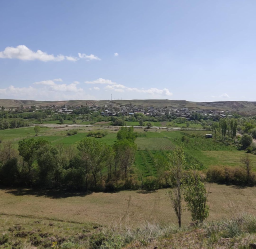 عکس سلوک
