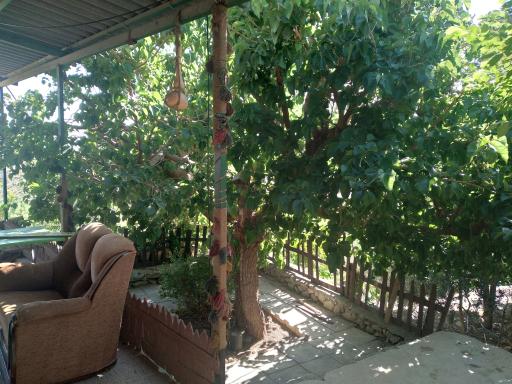 عکس محصولات ارگانیک و ماهی سرای حصارکی