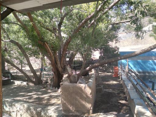 عکس محصولات ارگانیک و ماهی سرای حصارکی