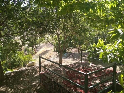 عکس محصولات ارگانیک و ماهی سرای حصارکی