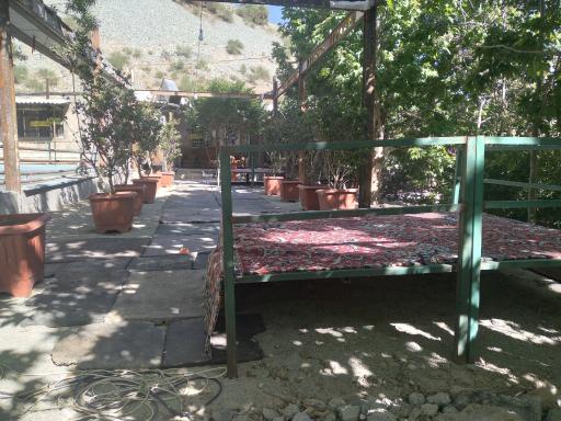 عکس محصولات ارگانیک و ماهی سرای حصارکی