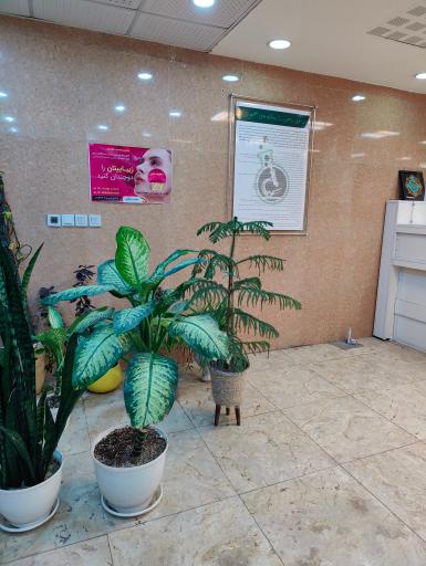 عکس آزمایشگاه دکتر نجم الدین ساکی