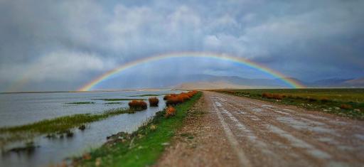 عکس شهر گندمان