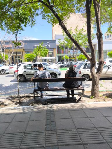 عکس  فلسطین 20