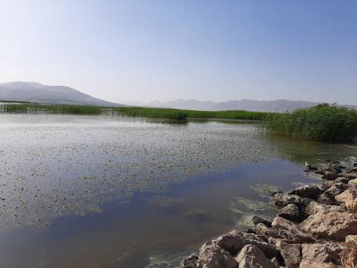 عکس شهر گندمان