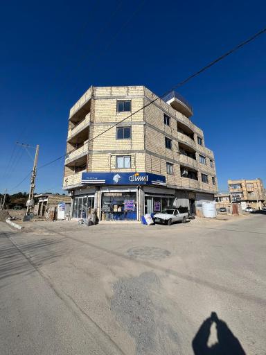 عکس صدف یدکی