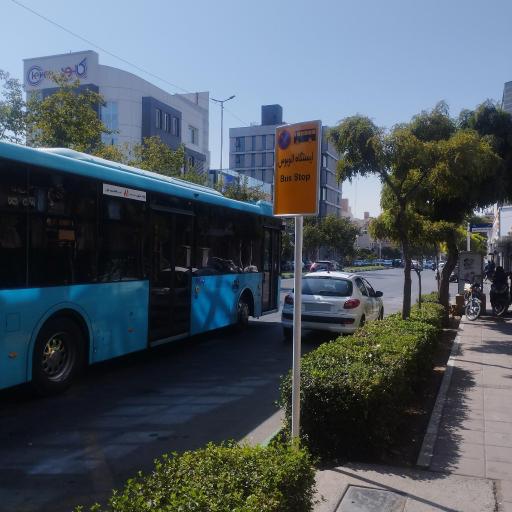 عکس  فلسطین 20