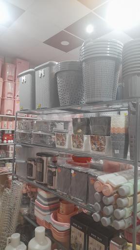 عکس داتیس پلاسکو