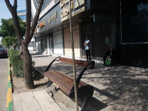 عکس  فلسطین 20