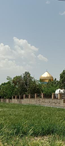 عکس امامزاده محمد