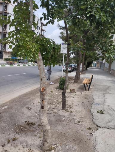 عکس  دندانپزشکان 23