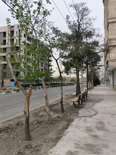 عکس  دندانپزشکان 23