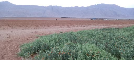 عکس شرکت باستان آباد  اسپادانا 