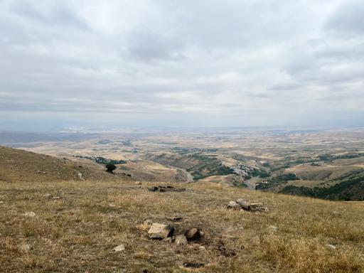 عکس کرکشه