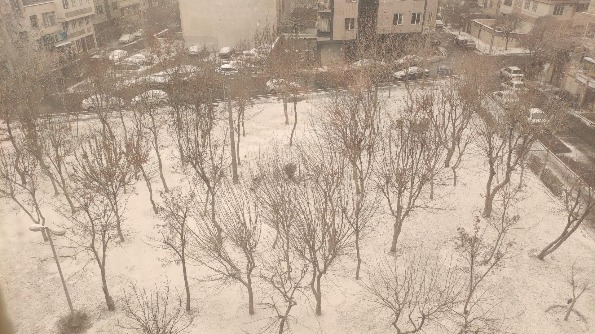 عکس بوستان آذین