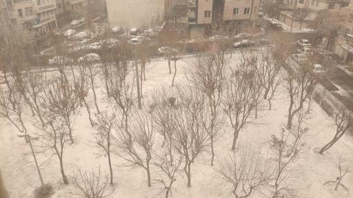 عکس بوستان آذین