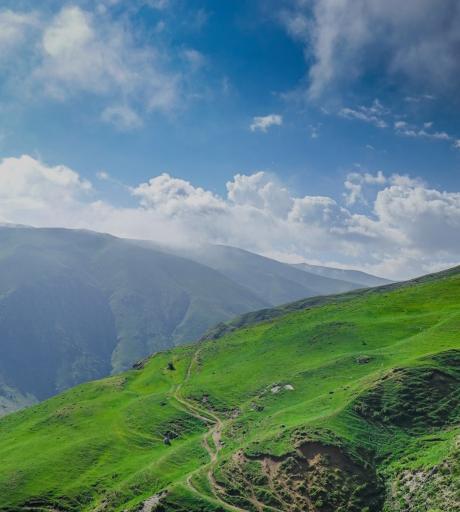 عکس کرکشه