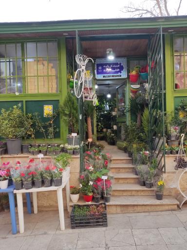 عکس کلینیک گل و گیاه خانواده