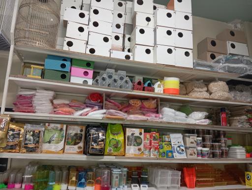 عکس پرنده و پت شاپ قجری