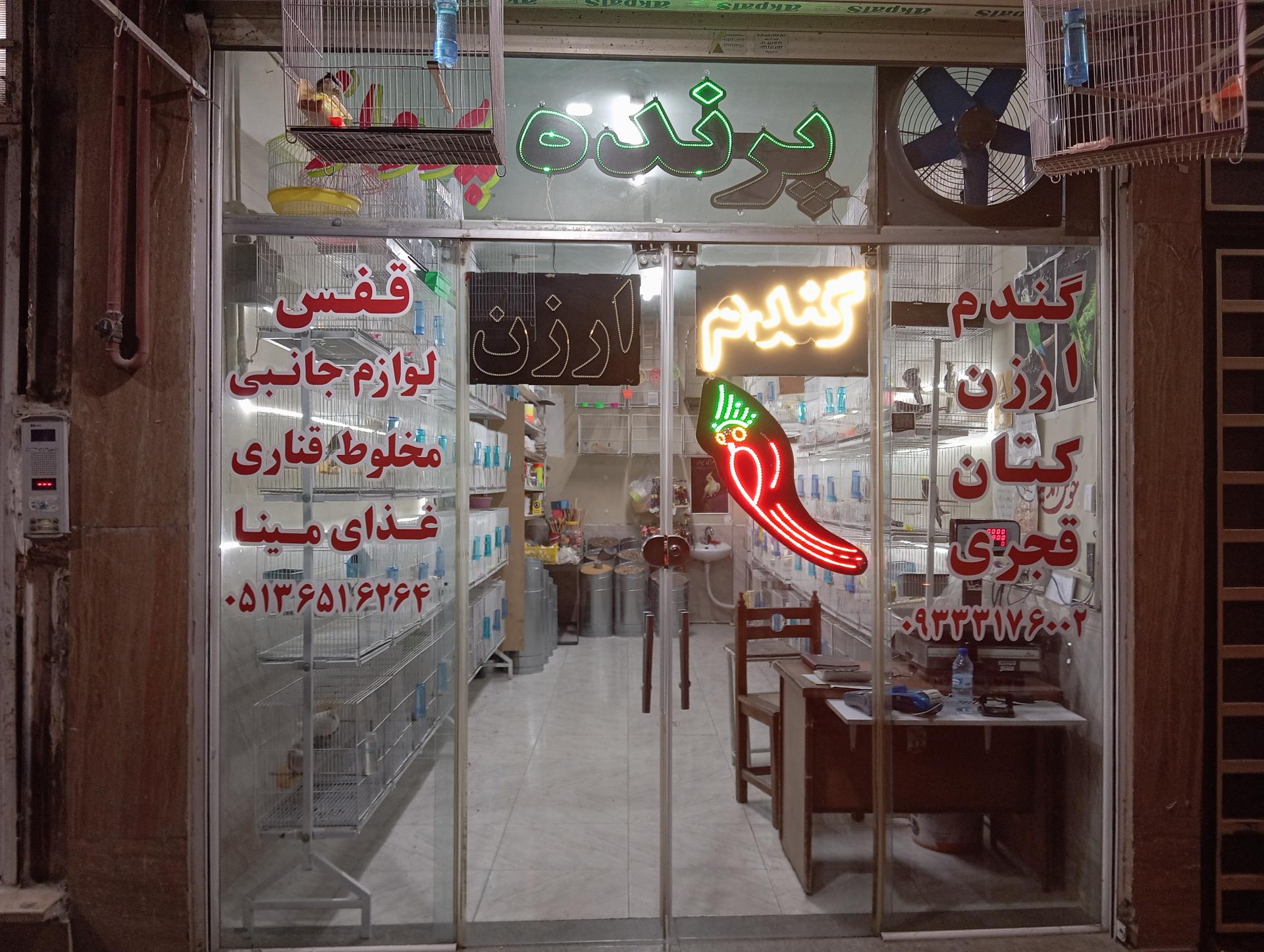 عکس پرنده و پت شاپ قجری