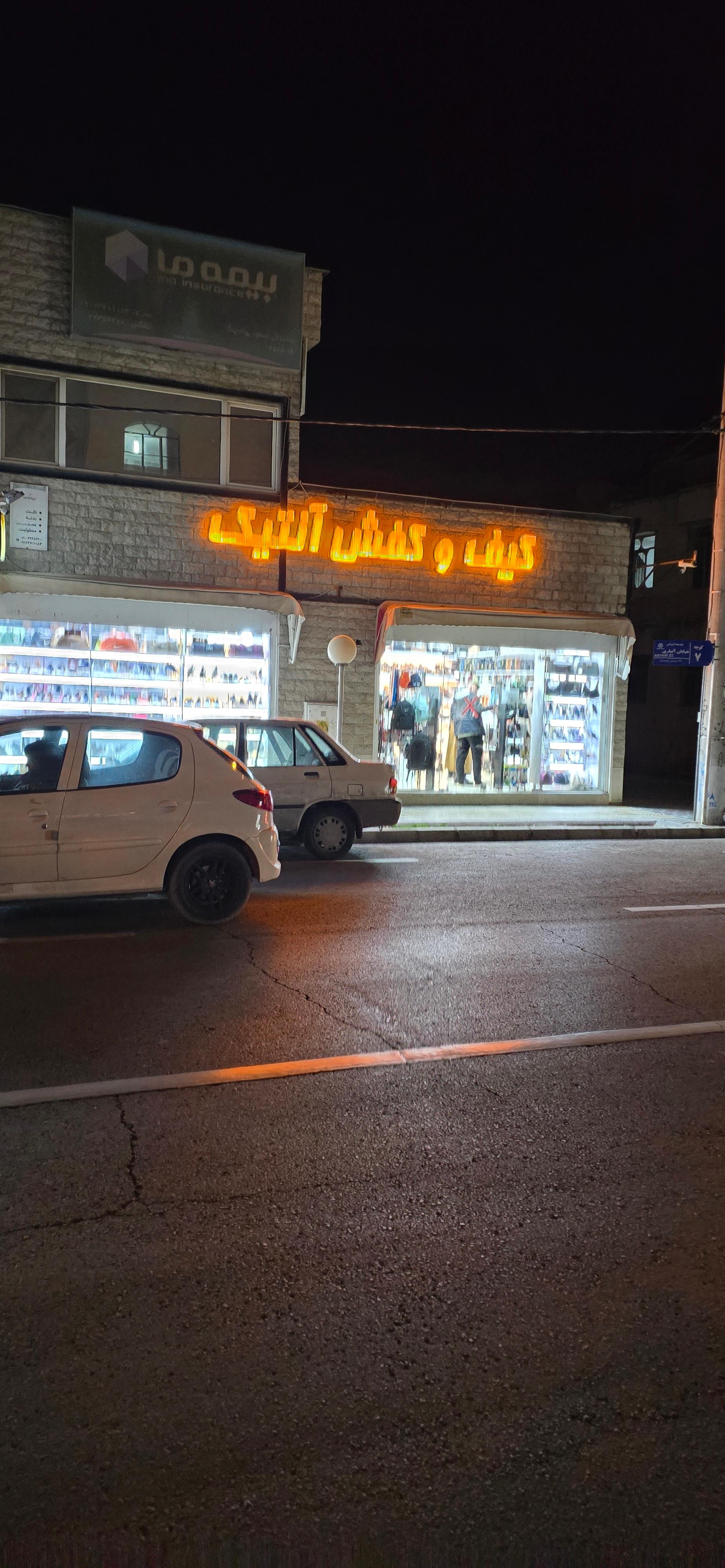 عکس تولید و پخش کیف و کفش آنتیک