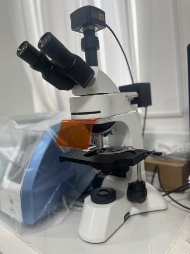 عکس آزمایشگاه دکتر محمدیان