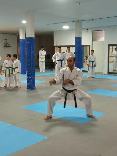 عکس باشگاه ورزشی شاهد