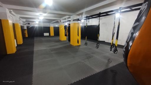 عکس باشگاه همتا 