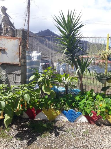 عکس اقامتگاه رضایی واحد2 (اتاقک)