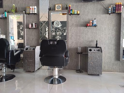 عکس پیرایش آذین