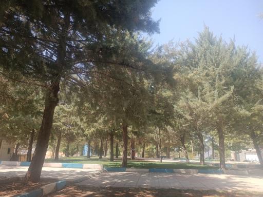 عکس پارک لاله